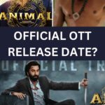 what is the OTT release date of Animal